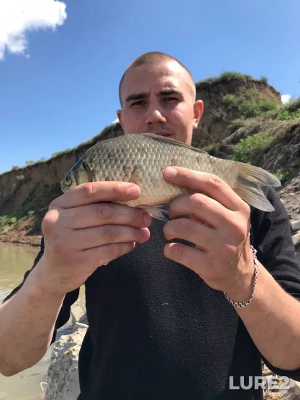 Crucian carp — Ob, May 23, 2020