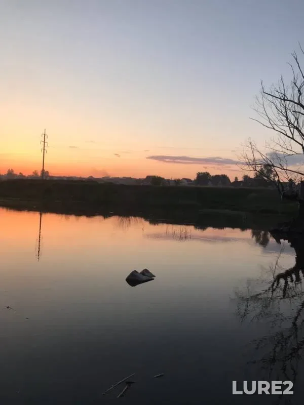 Crucian carp — Altayskiy kray, May 18, 2020