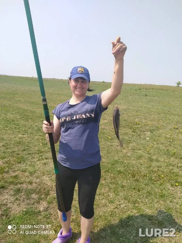 Crucian carp — Obskoye, May 16, 2021