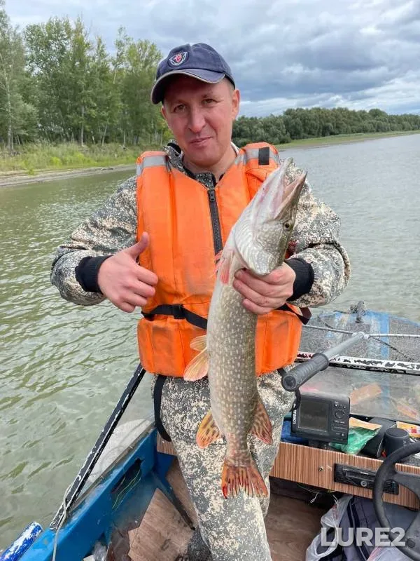 Pike, Zander — protoka Volchya, Aug 17, 2022
