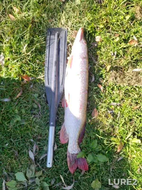 Pike — Lyapikha, Sep 29, 2024