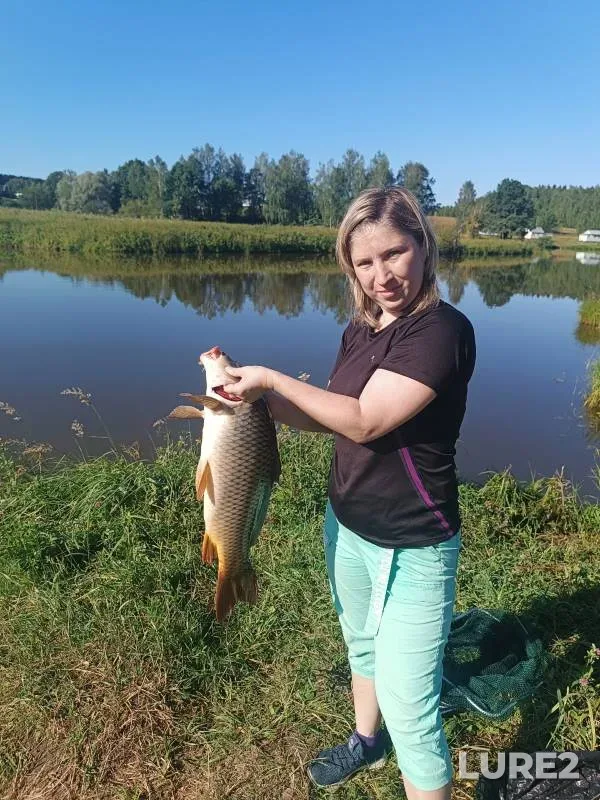 Carp — Kaluzhskaya oblast, Ferzikovskiy rayon, Jul 07, 2024