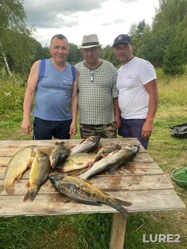Carp — Kaluzhskaya oblast, Ferzikovskiy rayon, Jul 31, 2024