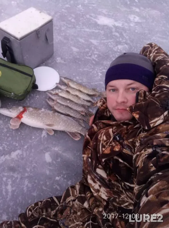 Pike — Kaluzhskaya oblast, Meshchovskiy rayon, Dec 10, 2017
