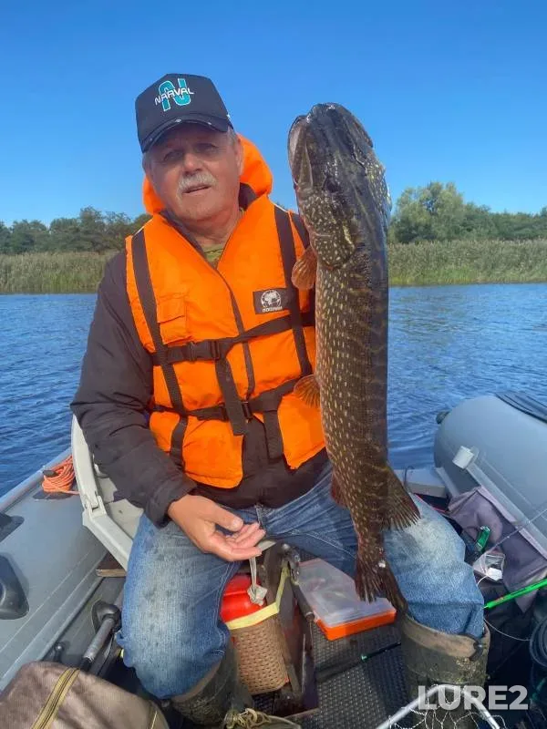 Pike — Nemoninka, Sep 04, 2023