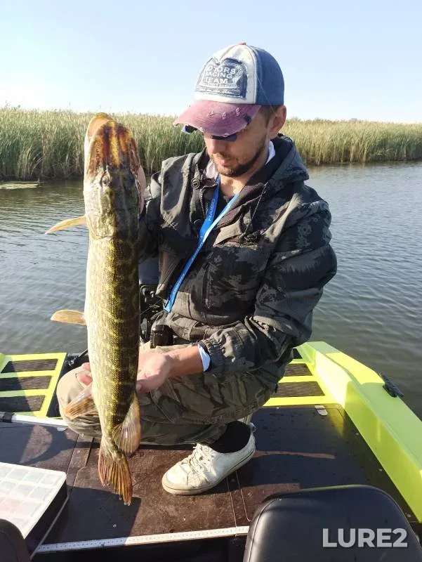 Pike — Pregolya, Sep 19, 2024