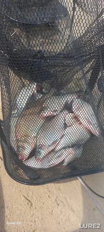Bream — Kazanka, Jul 27, 2024