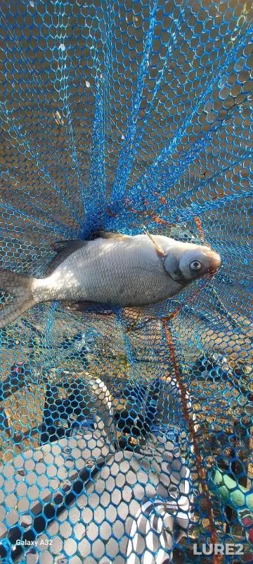 Bream — Kazanka, Aug 29, 2024