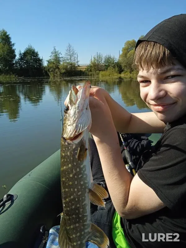 Perch, Pike — Malaya Kokshaga, Sep 15, 2024