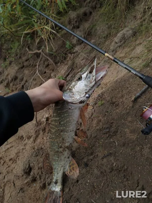 Pike — Ishim, Sep 16, 2024