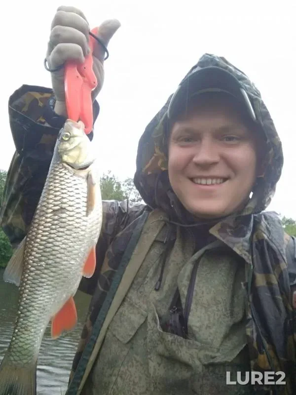 Chub, Pike — Lyubimovka, Jun 17, 2019