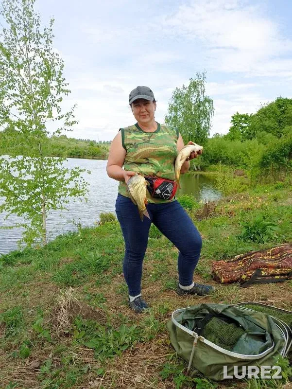 Carp — Lipetskaya oblast, May 22, 2023
