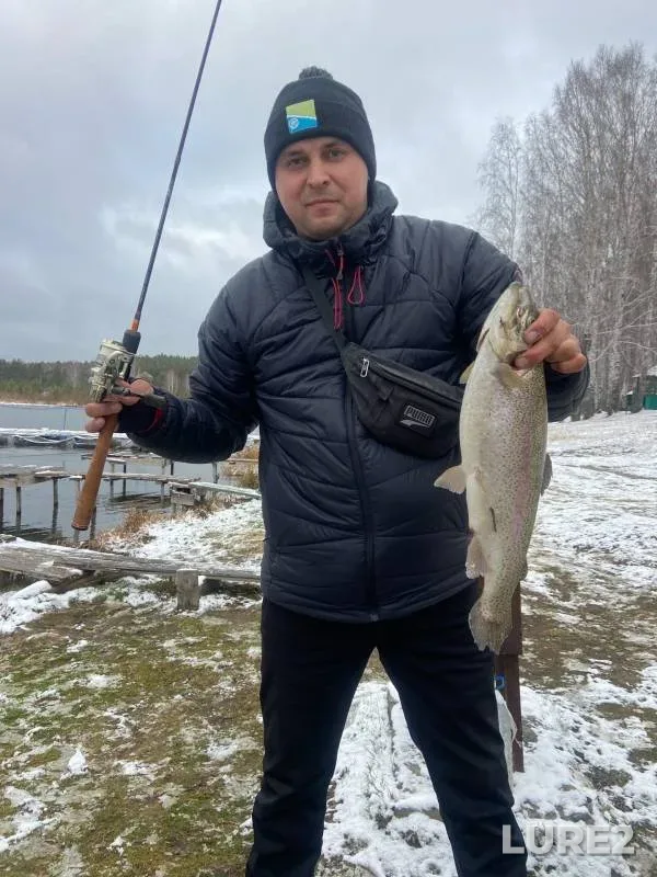 Rainbow trout — KRKh Shabrovskiy, Nov 04, 2022