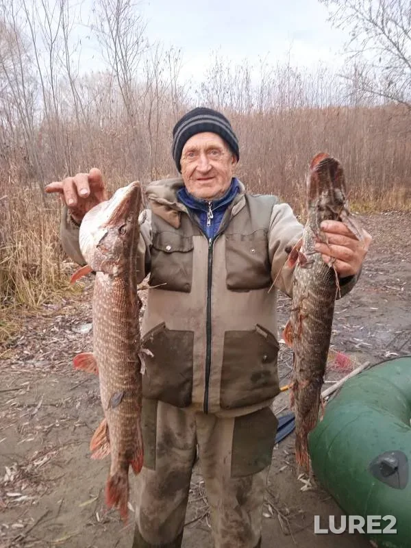 Pike — protoka Soplyakova, Oct 21, 2024