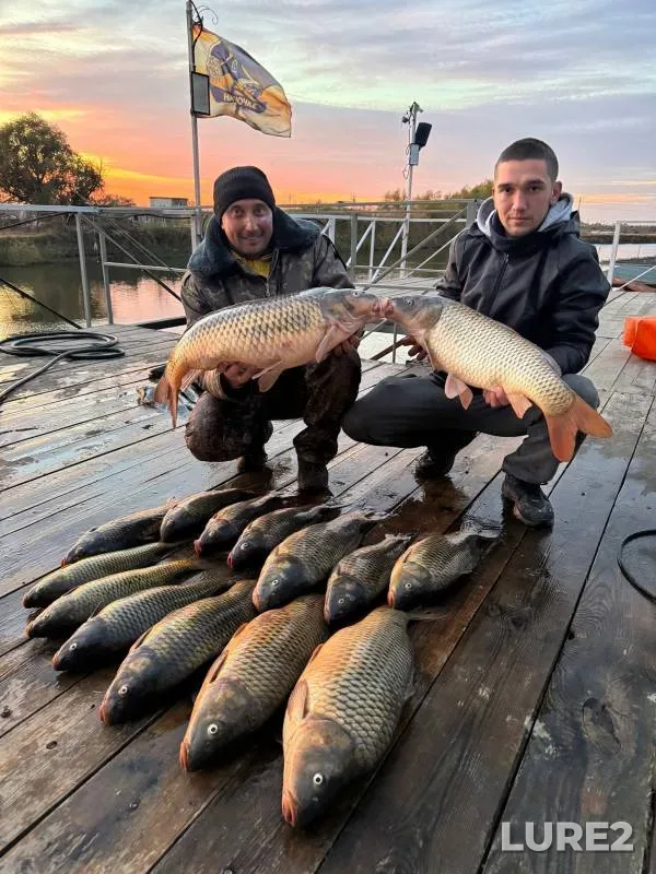 Carp, Wels catfish — Astrakhanskaya oblast, Volodarskiy rayon, Oct 30, 2024