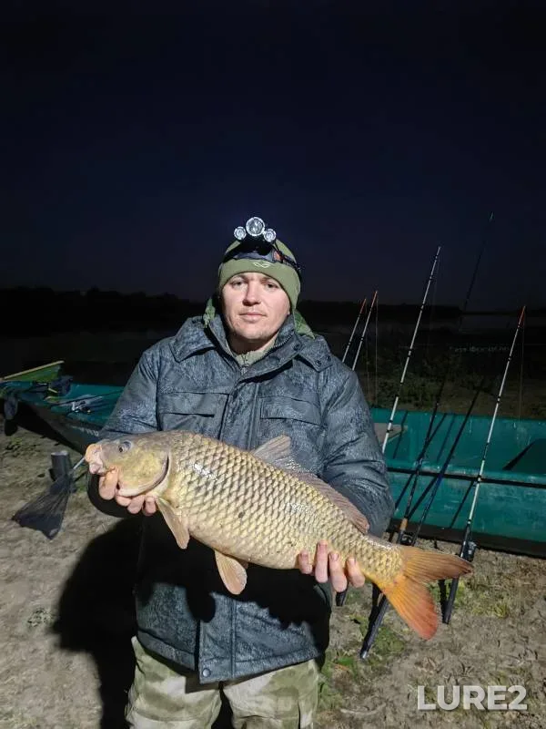 Carp — Buzan, Sep 20, 2024