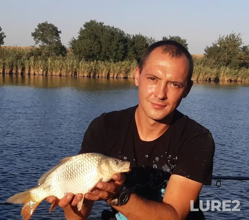 Carp — Krasnodarskiy kray, Tbilisskiy rayon, Sep 01, 2023