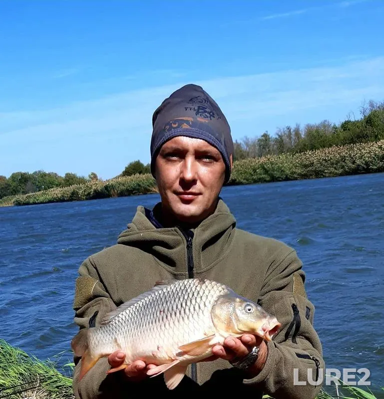 Carp, Crucian carp — Krasnodarskiy kray, Uspenskiy rayon, Sep 16, 2024