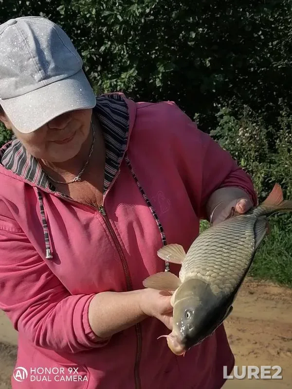 Carp — Nizhegorodskaya oblast, Sep 15, 2023