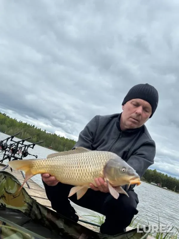 Carp — Nizhegorodskaya oblast, May 18, 2024