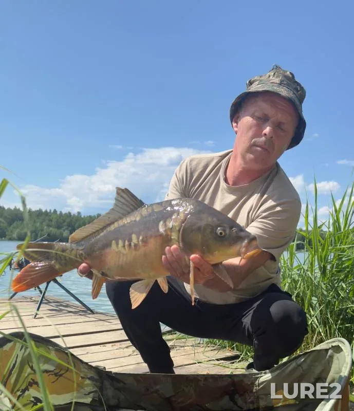 Carp — Nizhegorodskaya oblast, Jun 09, 2024