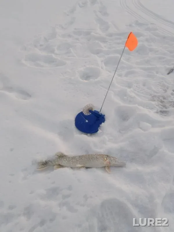 Pike — Bolshaya Travyanka, Dec 24, 2018