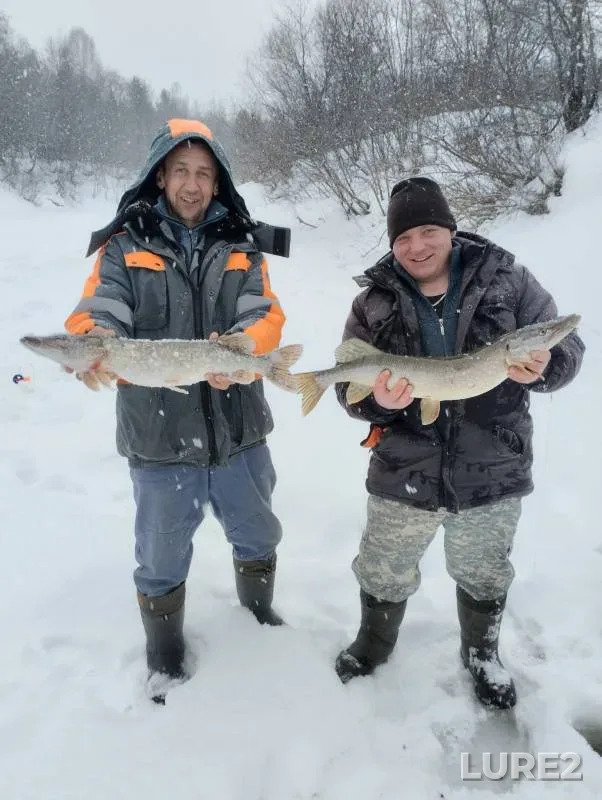 Pike — Nelsha, Mar 11, 2024