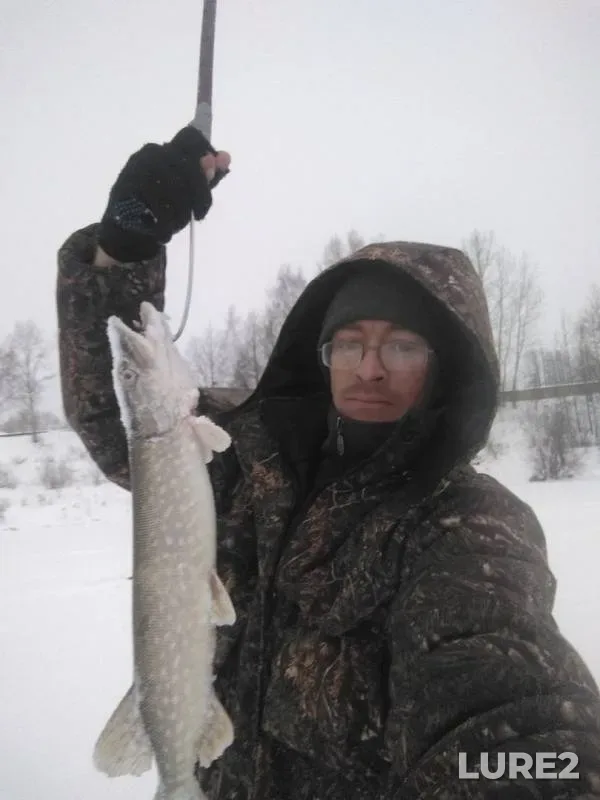 Pike — Lysvenskiy, Jan 05, 2019