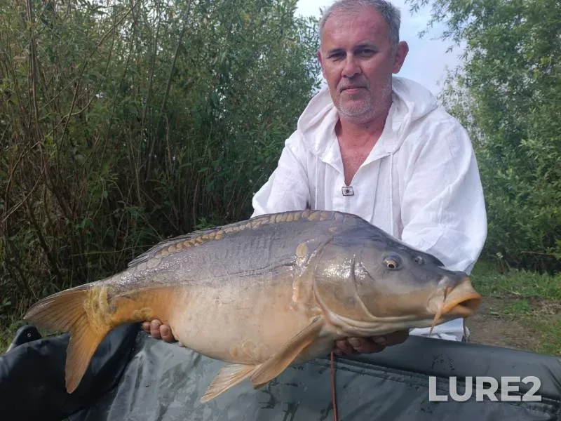 Carp — Samarskaya oblast, May 22, 2023