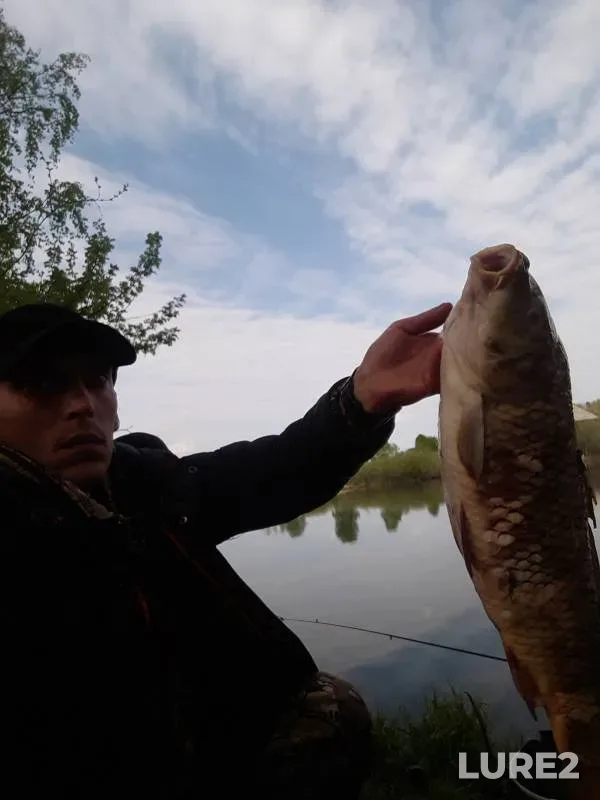 Carp — Vagina, May 26, 2021