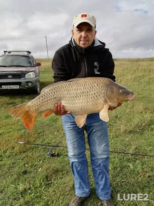 Carp, Pike — Platnyy prud Konovalovo., Jun 09, 2022