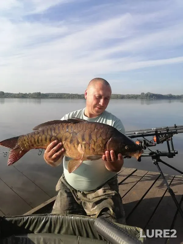 Carp — Severnaya Unga, Aug 31, 2023