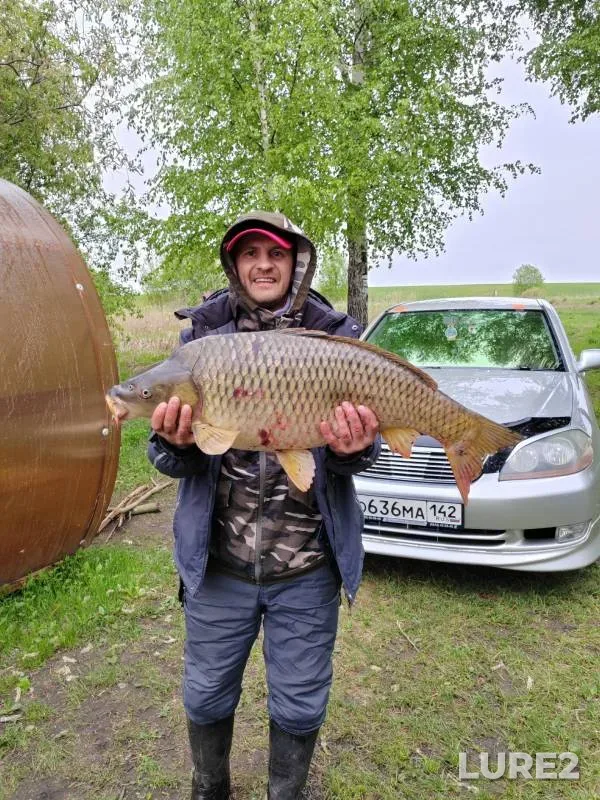 Carp — Severnaya Unga, May 25, 2024