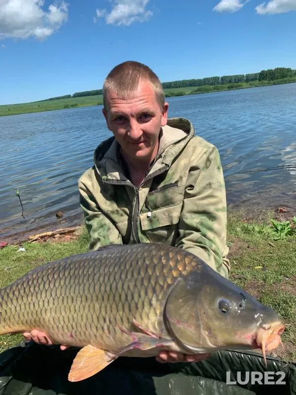 Carp — Severnaya Unga, Jun 21, 2024