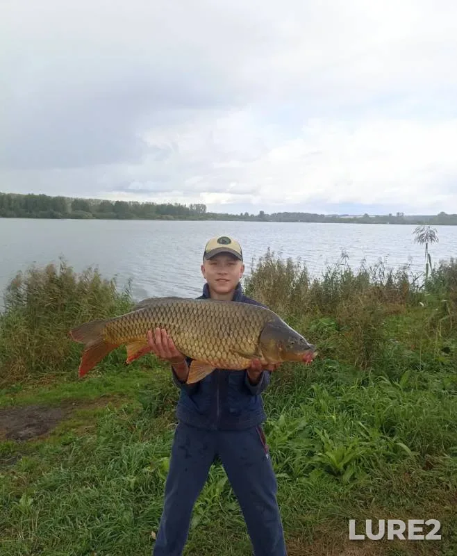 Carp — Severnaya Unga, Sep 07, 2024