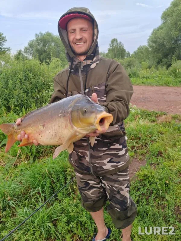 Carp — Severnaya Unga, Jul 18, 2024