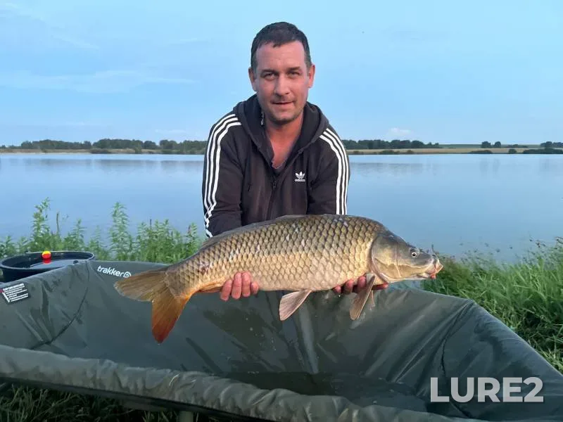 Carp — Kemerovskaya oblast, Aug 01, 2024