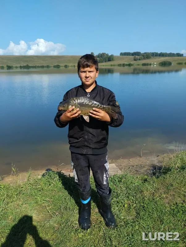 Carp — Kemerovskaya oblast, Aug 29, 2024