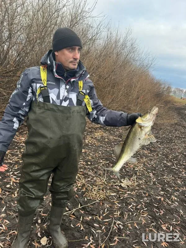 Zander — Kemerovskaya oblast, Oct 26, 2024