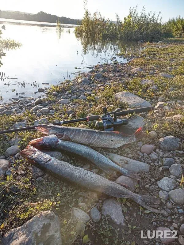 Pike — Tom, Sep 11, 2024