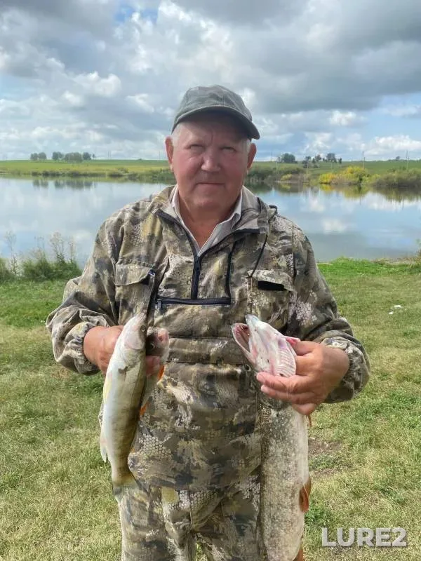 Perch, Pike — Kuro-Iskitim, Aug 26, 2022