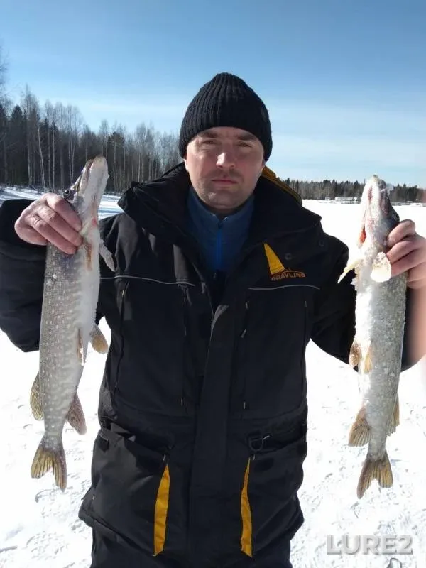 Pike — Permskiy kray, Mar 19, 2019