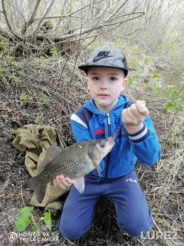 Crucian carp — Bolshaya Urya, May 11, 2020