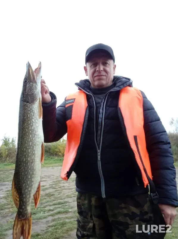 Pike — Krasnoyarskiy kray, Sep 27, 2024