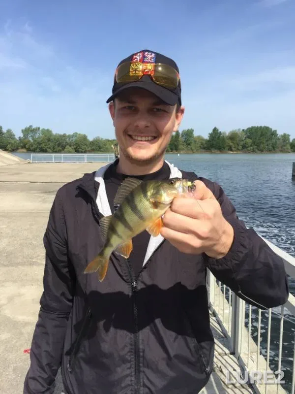 Perch — Shapsugskoye, May 15, 2019