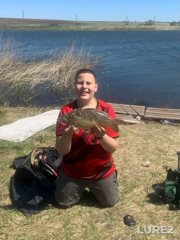 Carp — Saratovskaya oblast, Jun 09, 2024