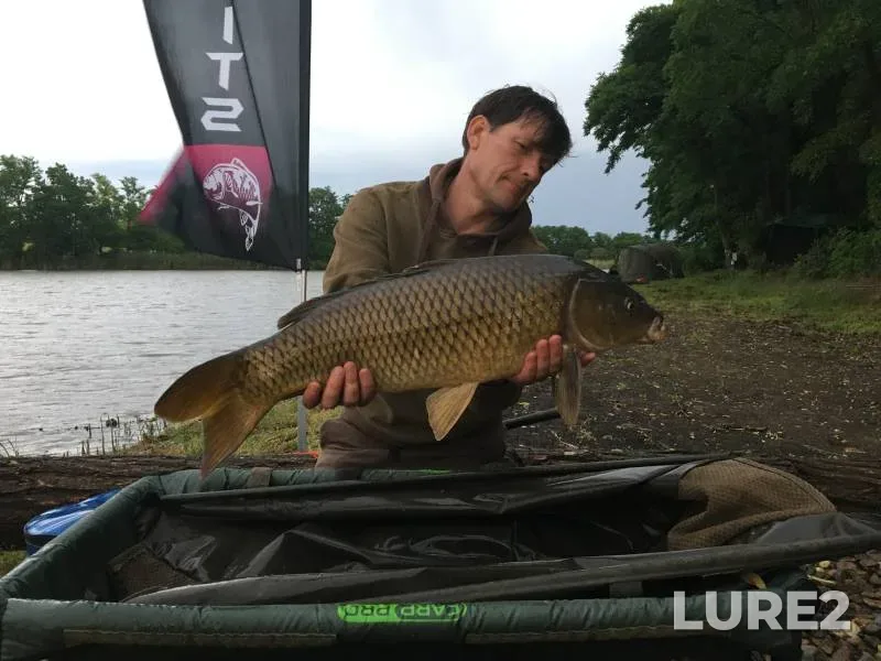 Carp — Kochety, Jun 12, 2019