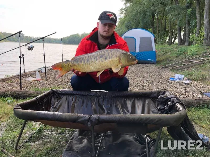 Carp — Kochety, Sep 08, 2019