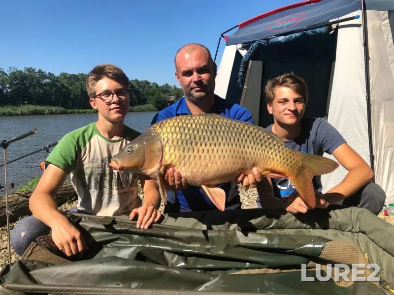 Carp — Kochety, Aug 25, 2020