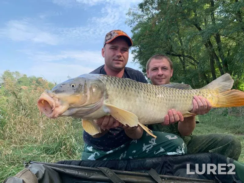 Carp — Kochety, Sep 28, 2020